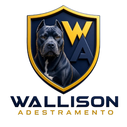 WhatsApp-Image-2026-07-28-at-12-18-17-removebg-preview.png